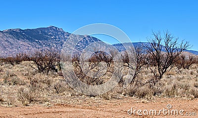 Kartchner Caverns State Park in Benson, Arizona Stock Photo