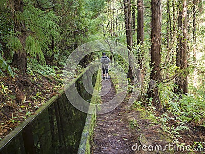 Footpath along Lavada - water irrigation canals covered by moss and lush vegetation on hiking trail Praia Lagoa de Fogo Editorial Stock Photo