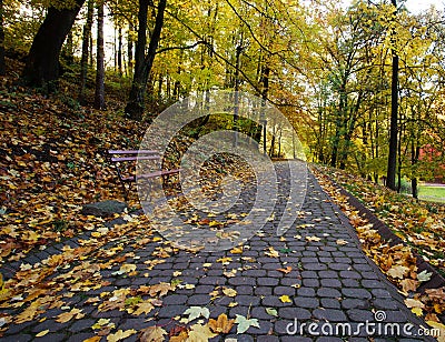 Footpath in autumn city park strewn with yellow fallen leave Stock Photo