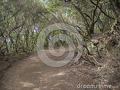 Footpath curve on Sendero de los Sentidos path od the senses in Stock Photo