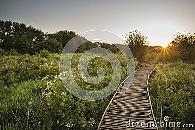 Footpath leading through wild meadow sunrise landscape in Summer Stock Photo