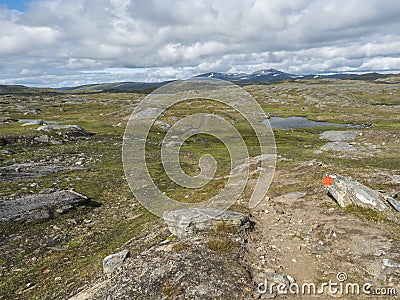 Footpath in northern artic landscape, tundra in Swedish Lapland with green hills, blue lakes and mountains at Stock Photo