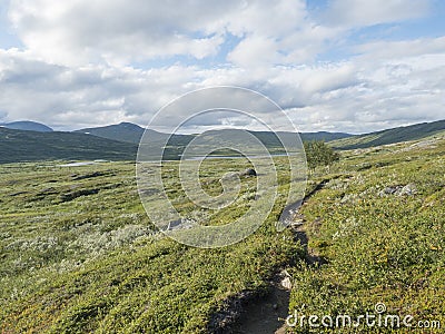 Footpath in northern artic landscape, tundra in Swedish Lapland with green hills,mountains and lake at Padjelantaleden Stock Photo