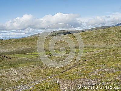 Footpath in northern artic landscape, tundra in Swedish Lapland with green hills and mountains at Padjelantaleden hiking Stock Photo