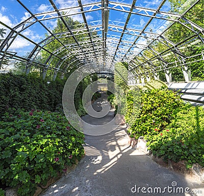 Plants inside of a main hall in David Welch Winter gardens, Duthie Park, Aberdeen Stock Photo
