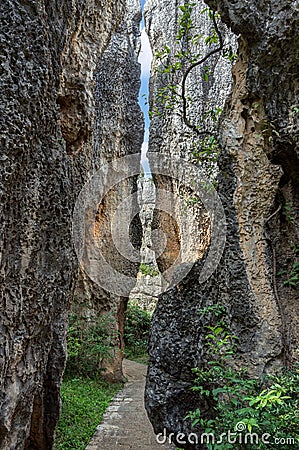 Shilin Stone Forest - Yunnan Province - China Editorial Stock Photo
