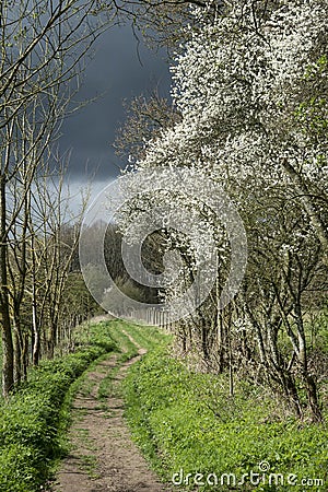 Footpath in stormy weather in Spring English countryside landscape Stock Photo