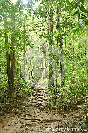 footpath to waterfall at Jetkod-Pongkonsao in Thailand Stock Photo