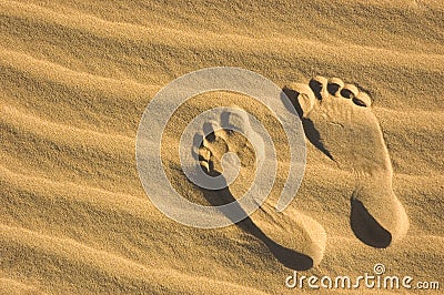 Footprint on the beach Stock Photo