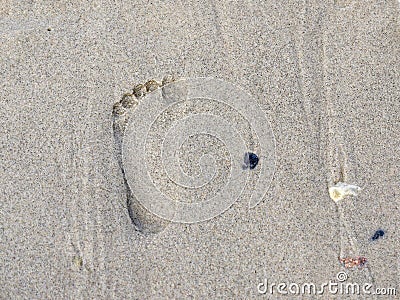 Footprint on the beach Stock Photo