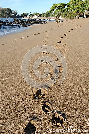 Footprint on the beach of Los Cobanos Stock Photo