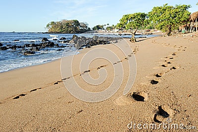 Footprint on the beach of Los Cobanos Stock Photo