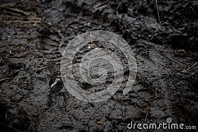 A Footprint with a Thousand Stories Stock Photo