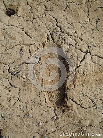 Footprint in the desert Stock Photo