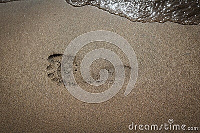 a footprint is in the fine beach sand by the sea Stock Photo