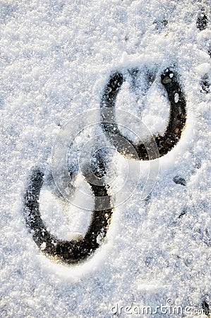 Footprint of a Horse Stock Photo