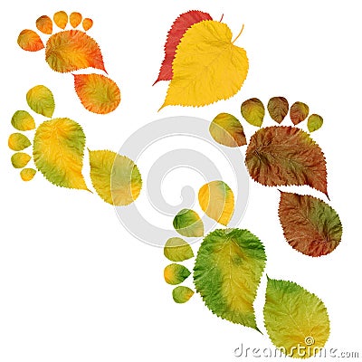 Way to Mother nature survival. Ecology and environmental protection. Stock Photo