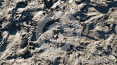 Footprint or imprint shoe in the mud.Mud texture or wet brown soil as natural organic clay and geological sediment Stock Photo