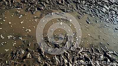 Footprint or imprint shoe in the mud.Mud texture or wet brown soil as natural organic clay and geological sediment Stock Photo