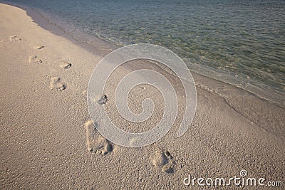 Footprint in sand Stock Photo