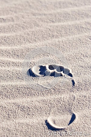Footprint in sand Stock Photo
