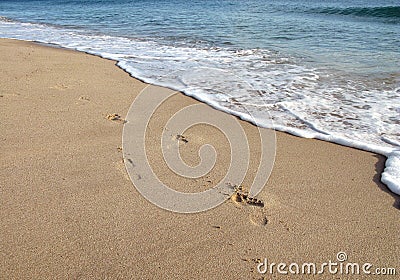Footprint on sand in beach Stock Photo