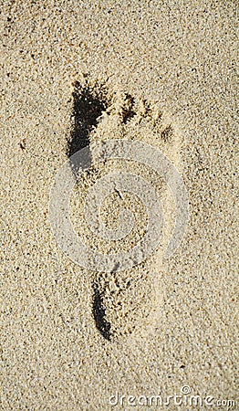 Footprint sand on the beach Stock Photo