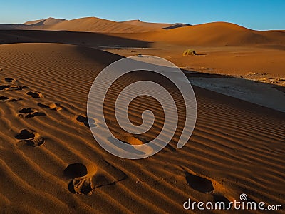 Footprint on sand dune in vast desert Stock Photo