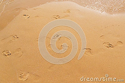 Footprint, sand, sea Stock Photo
