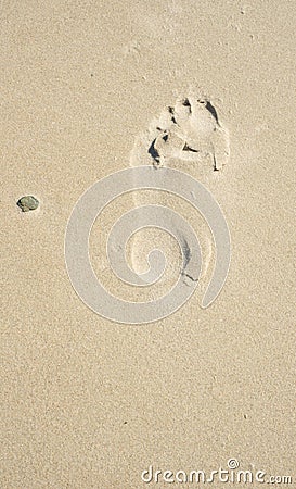 Footprint in sand w/ Stone Stock Photo