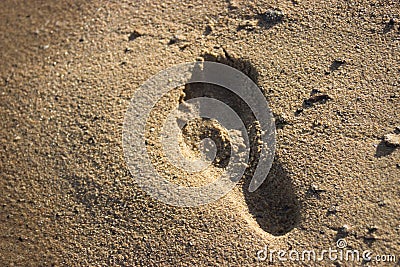 Footprint in sand Stock Photo