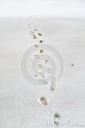 Children footprint in the snow, Stock Photo