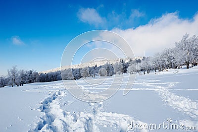 The footprint on snowfield and blue sky Stock Photo