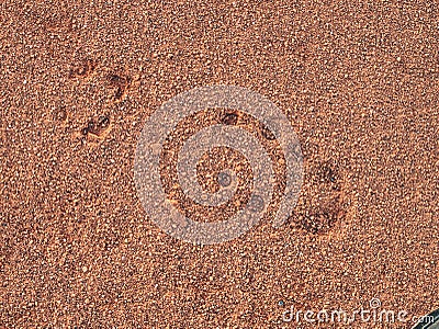 Footprint of soccer cleats shoe cleats in dry red clay of court. Stock Photo