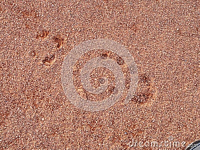 Footprint of soccer shoe in tennis court surface. Deep marks Stock Photo