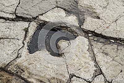 Footprint stone dinosaur Stock Photo