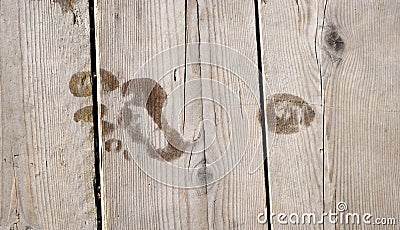 Footprint on wooden floor Stock Photo