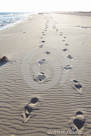 Footprints in beach sand Stock Photo