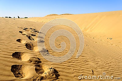 Footprints of camel on Sand dunes, SAM dunes of Thar Desert of I Stock Photo