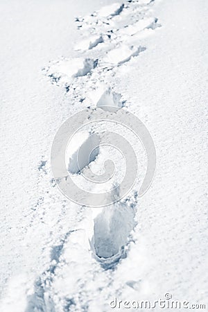 Footprints in the deep white snow, traces and tracks of human steps Stock Photo