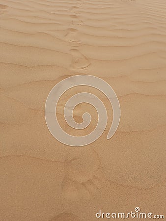 Footprints in the Desert Area.And good sign in! Stock Photo