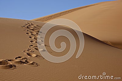 Footprints in desert sand Stock Photo