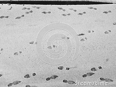 Footprints in fresh snow on a road Stock Photo