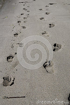 Footprints on sand Stock Photo