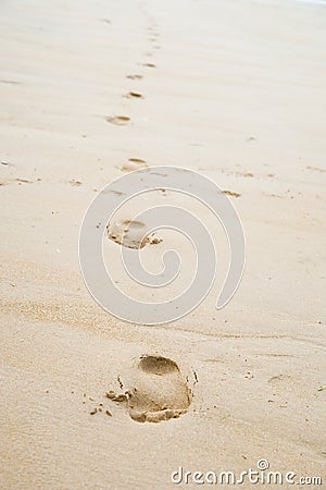 Footprints in the Sand Stock Photo