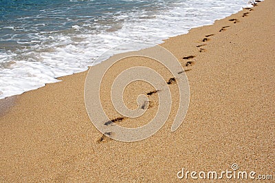 Footprints on the sand Stock Photo