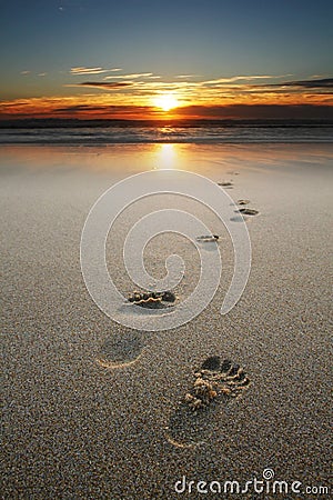 Footprints in sand at beach Stock Photo