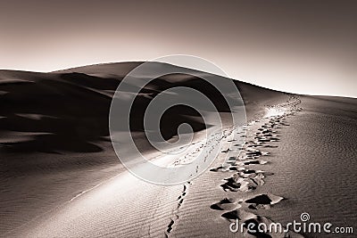 Footprints in a Sand Dune Stock Photo