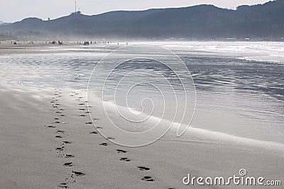 Footprints in the sand Stock Photo