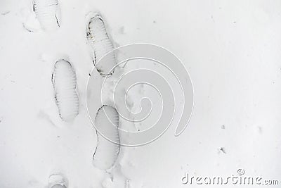 Footprints in the snow. Footprints on the first snow. Imprint of Stock Photo